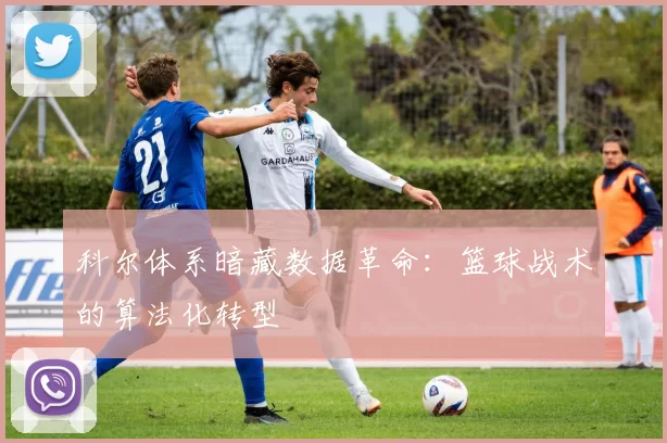 科尔体系暗藏数据革命：篮球战术的算法化转型