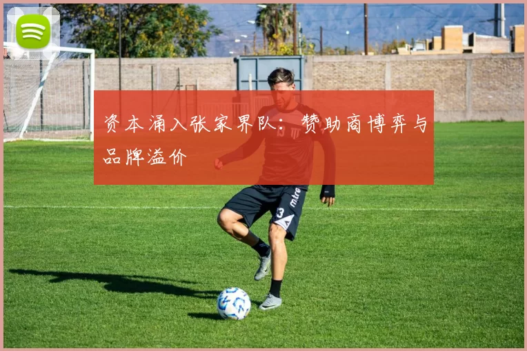 资本涌入张家界队：赞助商博弈与品牌溢价