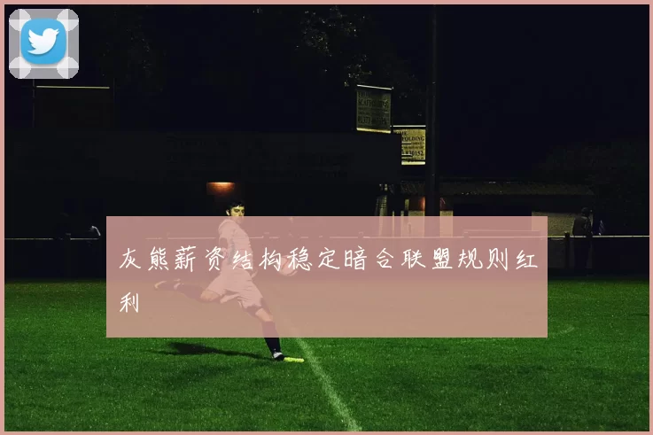 灰熊薪资结构稳定暗合联盟规则红利