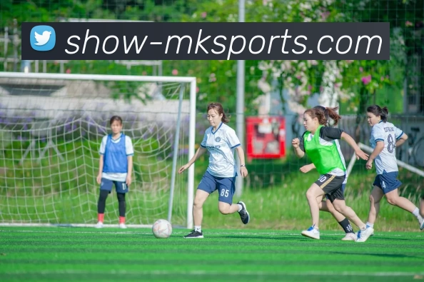 MKsports平台生态图